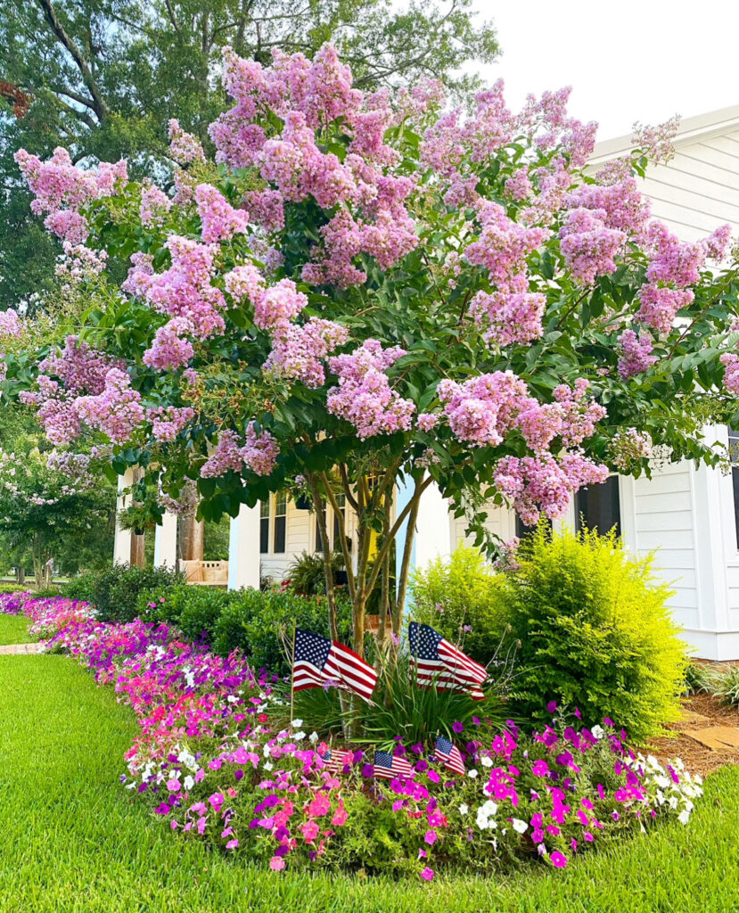 Simply Southern Cottage Crepe Myrtles 