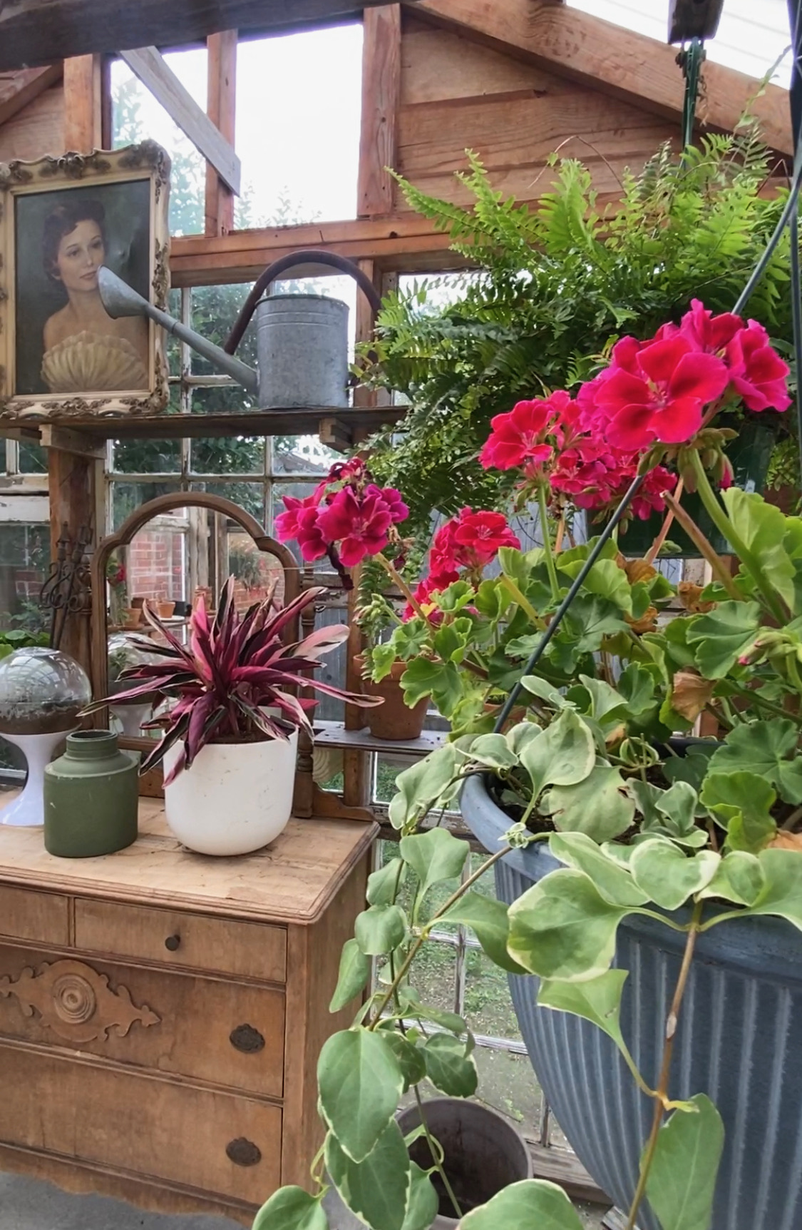 How I Built My Greenhouse from Reclaimed Materials - Simply Southern